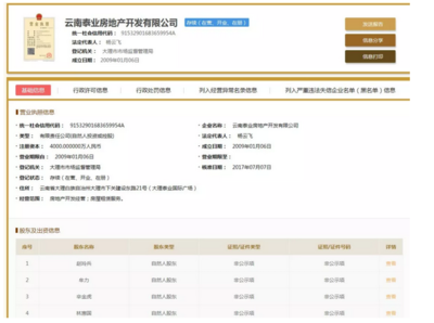 泰業(yè)地產強勢入駐巍山，首戰(zhàn)告捷 359套房源售罄，攬金3.5億